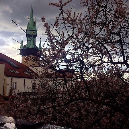 Althansky Palac Зноймо Экстерьер фото